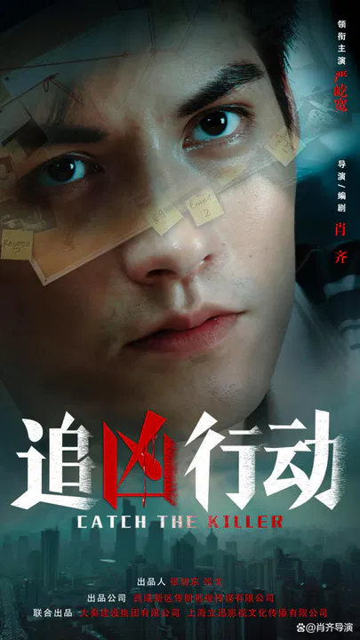 【犯罪片】追凶行动