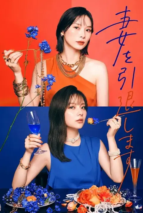 【日本剧】我不当妻子了