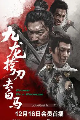 【剧情片】九龙挎刀去白马