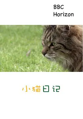 【记录片】地平线系列：小猫日记